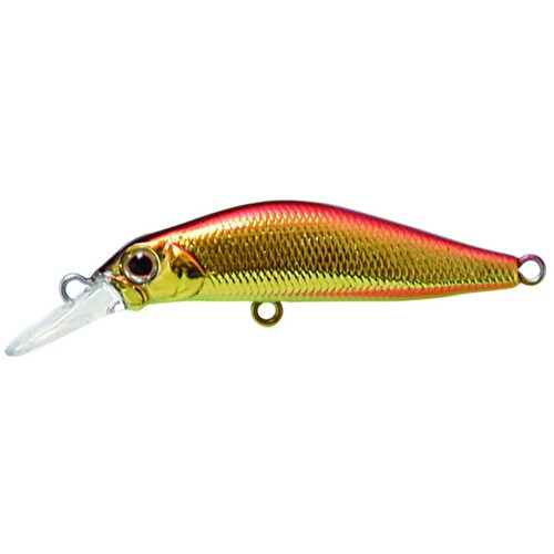 奏カナデ 50 CGR アカキン