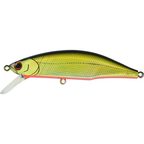 メテオーラ 80 LBG クロキンオレンジベリー