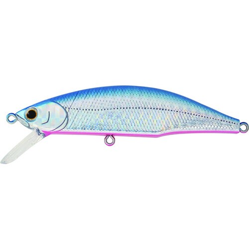 メテオーラ 80 SBP ブルピン