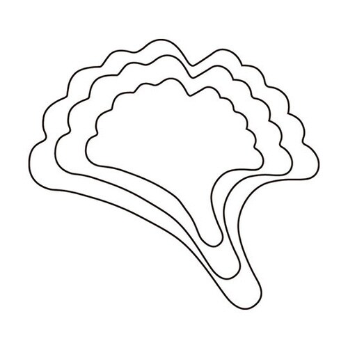 野菜抜 3PC 銀杏