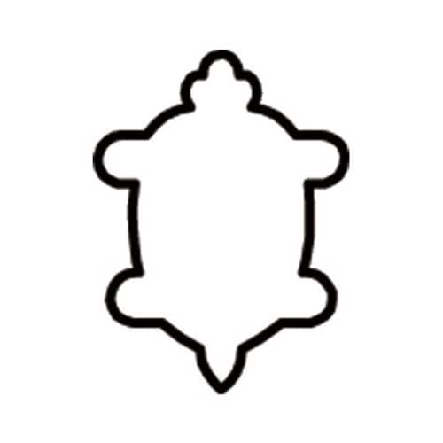 生抜 極小 亀