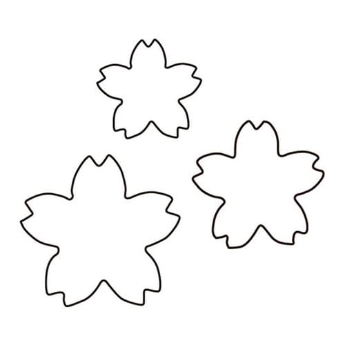 生抜 3PC 深桜