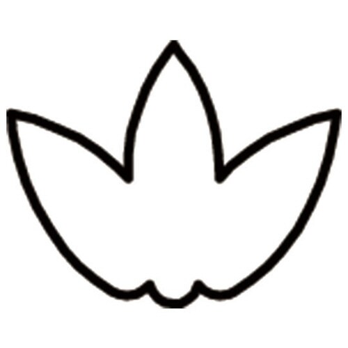 生抜 極小 竹