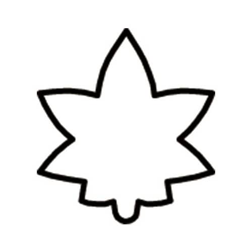 生抜 極小 紅葉
