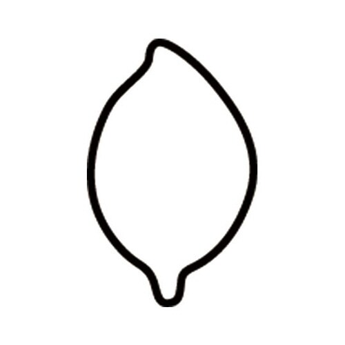 生抜 極小 椿(新型)