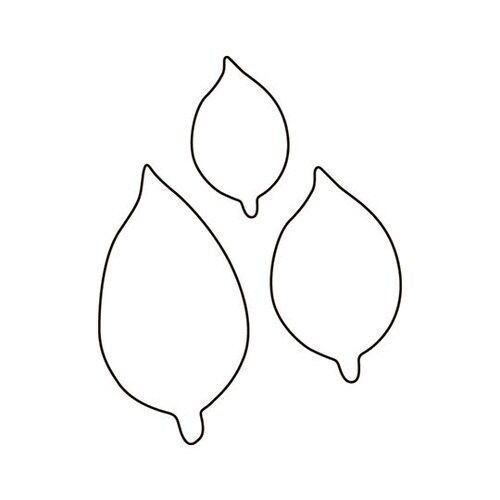 生抜 3PC 椿