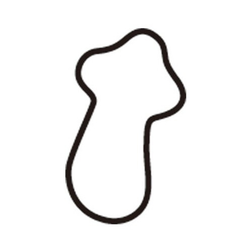 生抜 極小 松茸(新型)
