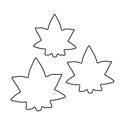 生抜 3PC 紅葉