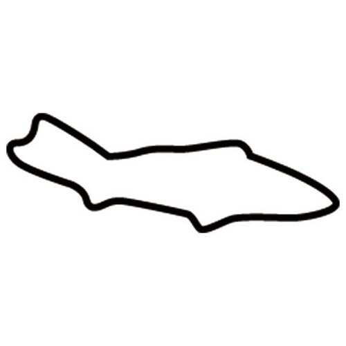 生抜 極小 鮎(新型)