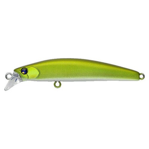 アムズデザイン # Twig 60 オリーブ