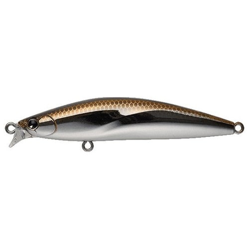 AMS iBORN 78F ハク