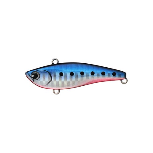 RAIKIRI 60マコイワシ