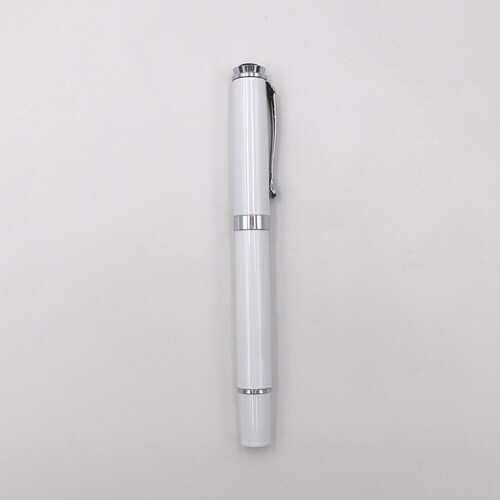 万年筆 2 WhiteSilver