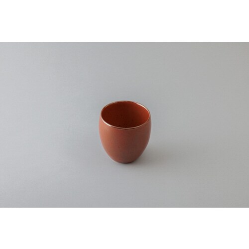 39arita ダブルウォールカップ 鉄赤赤