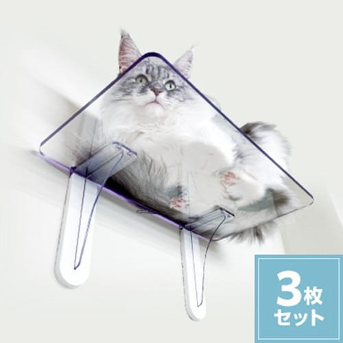キャットステップ3枚セット
