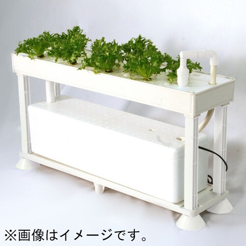 協和 ホームハイポニカ PLAABO