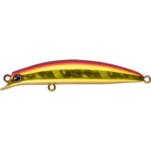 AMS sasuke SS−75 アカキン