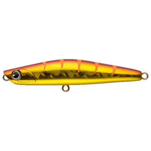 AMS YOICHI 99 アカキンOG