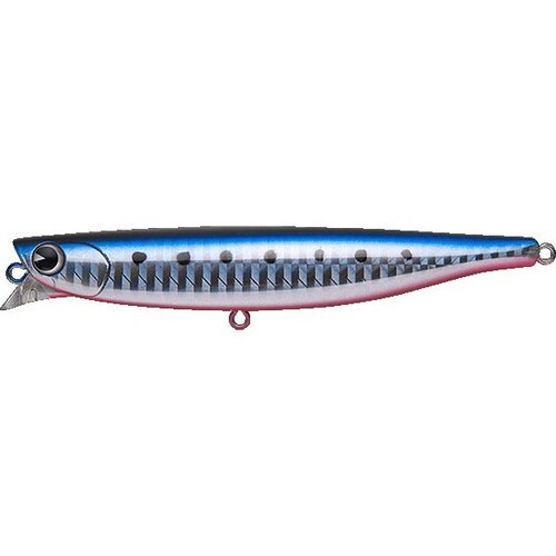 アムズデザイン # p−ce 100 マコイワシ