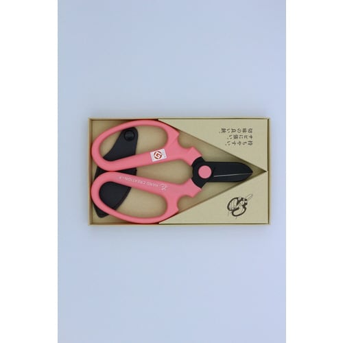 坂源 HクリエーションF170黒刃 ピンク 箱