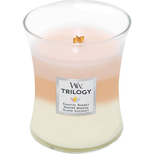 WWトリロジージャーM アイランドゲッタウエイ