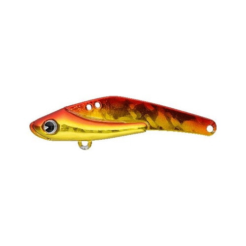 AMS SCHNEIDER 18 アカキン