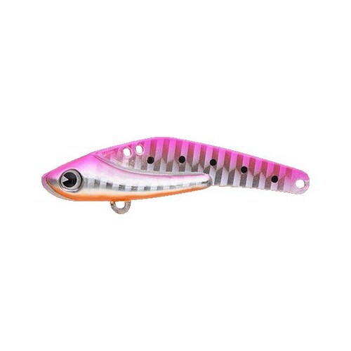 AMS SCHNEIDER 18 PBOベリー