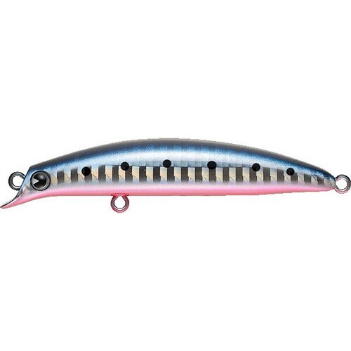 AMS sasuke SS−75 マコイワシ