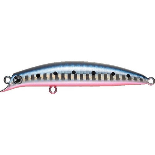 AMS sasuke SF−75 マコイワシ