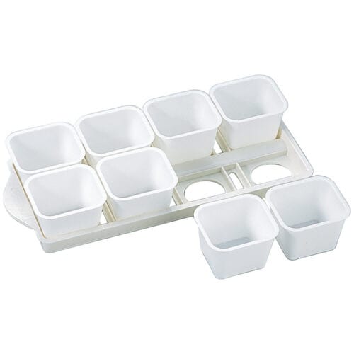 タイガー アイスバーグ 8P