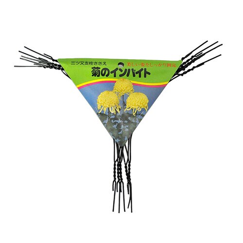 渡辺泰 菊のインバイド 5本入