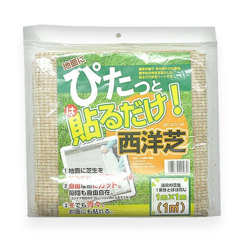 自然応用 ぴたっと貼るだけ西洋芝1mX1m