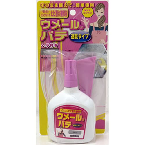 ウメールパテ 100g ソッカン gR