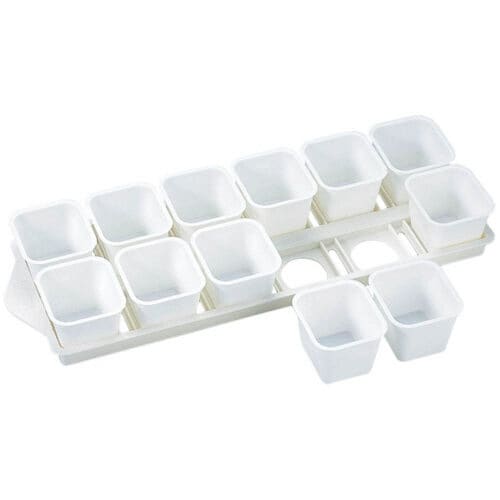 タイガー アイスバーグ 12P