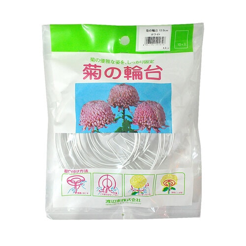 渡辺泰 菊の輪台 12cm 10入