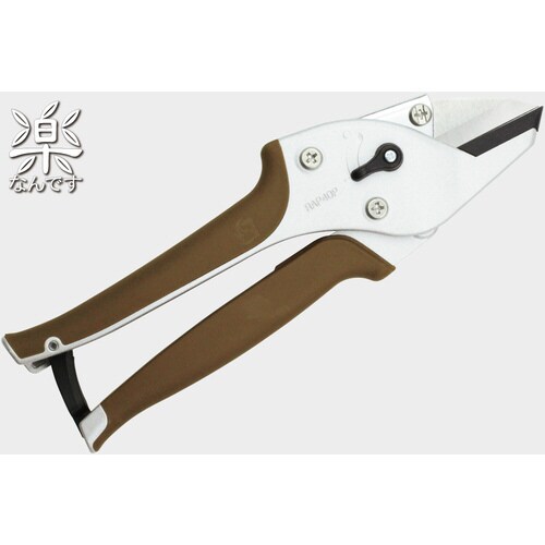 楽なんです 剪定 胡桃(くるみ)