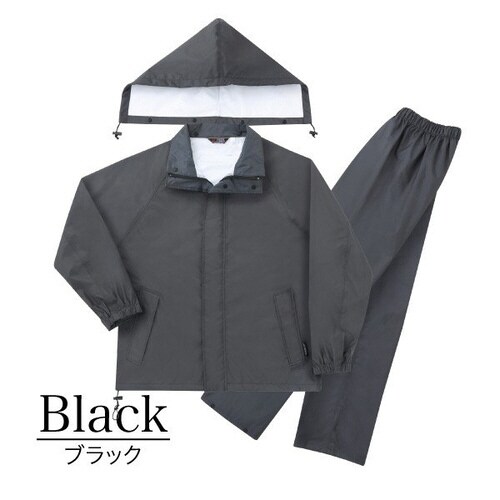 ランドワークスVE ブラック 4L