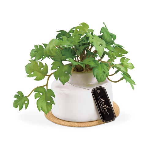 エクリア 消臭アーティフィシャルグリーン