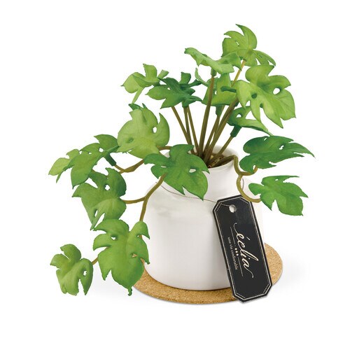 エクリア 消臭アーティフィシャルグリーン