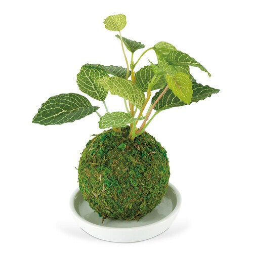 和盆栽 消臭アーティフィシャルグリーン クワ