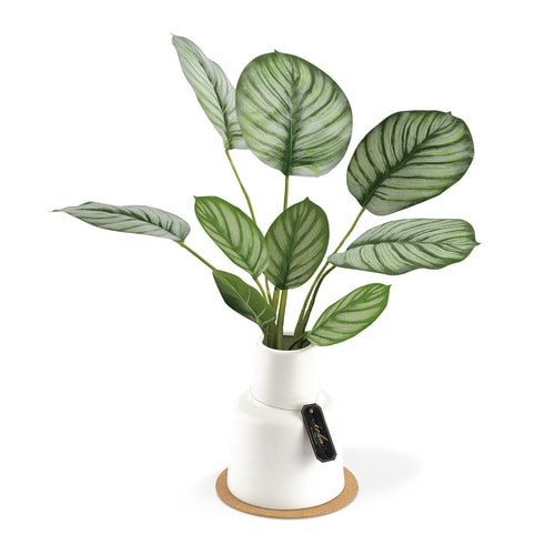 エクリア 消臭アーティフィシャルグリーン