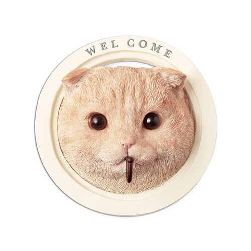 パディ ウォールフック スコティッシュフォールド