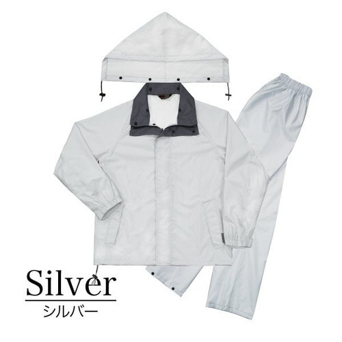 ランドワークスVE シルバー 3L