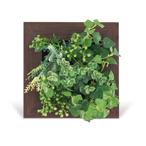 プレリエ S/Brown