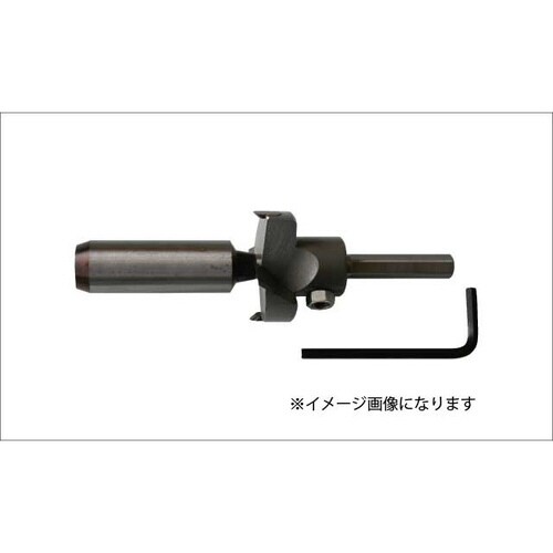 座掘錐小径ドリル無 12X30