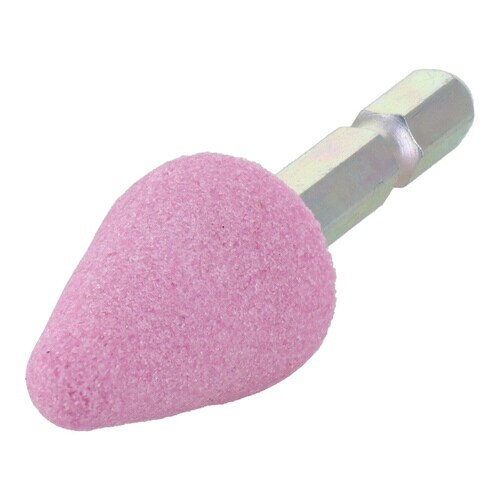 ロッカクジクツキトイシ カサ 19X28