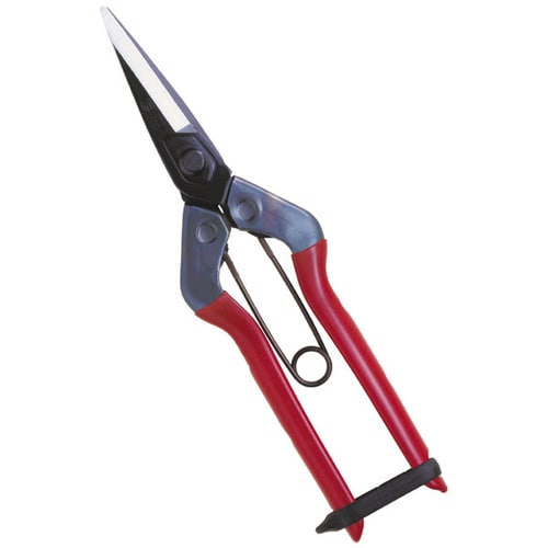 菜園鋏 尖直刃 箱入