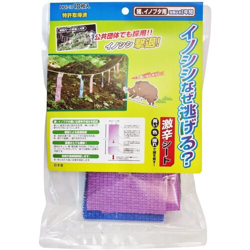 イノシシなぜ逃げる 10入