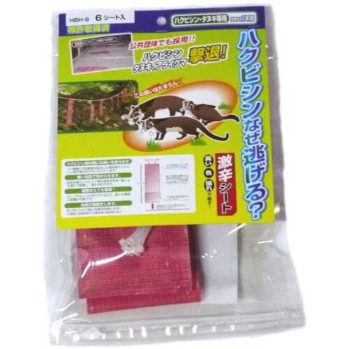 ハクビシンなぜ逃げる 6入