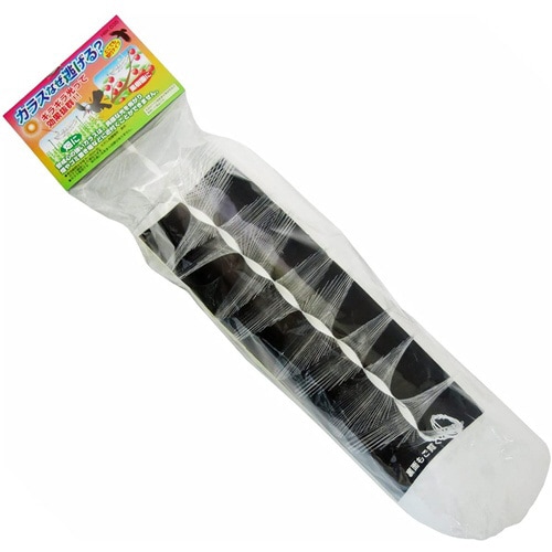 カラスなぜ逃げる どこでも